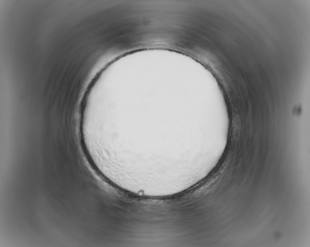 X0000097301424200803141522