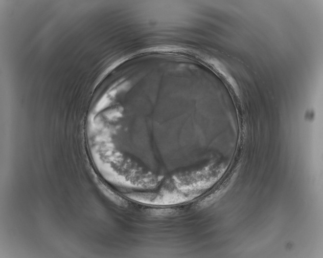 X0000097301425200803141522