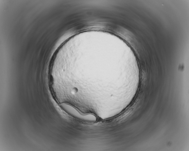 X0000097301426200803141522