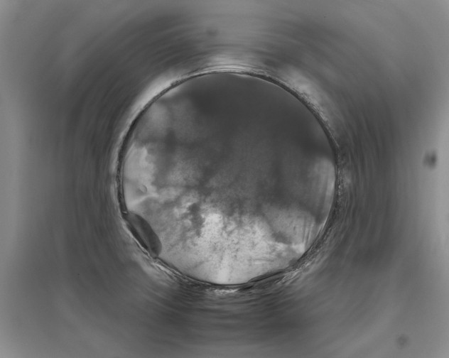 X0000097301427200803141522