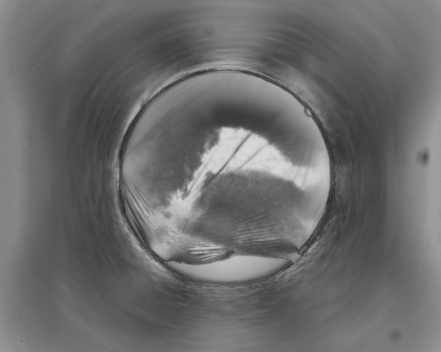 X0000097301428200803141522