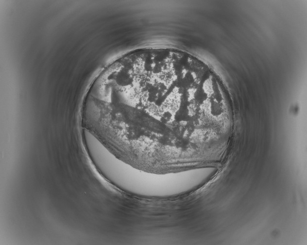 X0000097301429200803141522