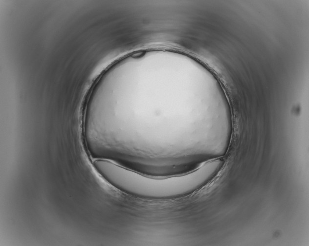 X0000097301430200803141522