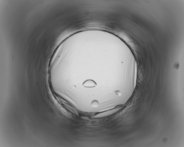 X0000097301431200803141522