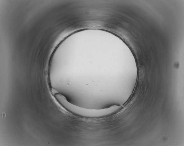 X0000097301432200803141522