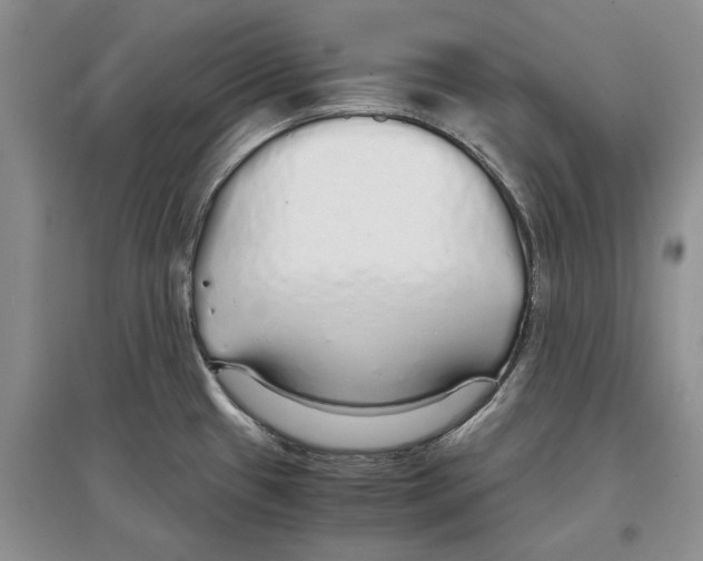 X0000097301433200803141522