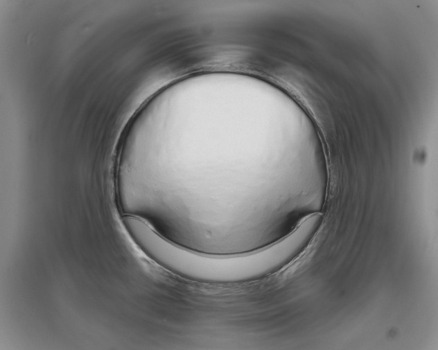 X0000097301434200803141523