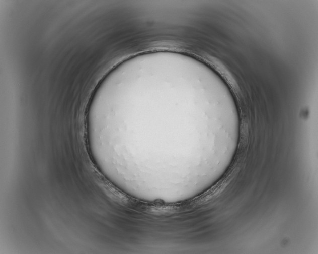 X0000097301435200803141523