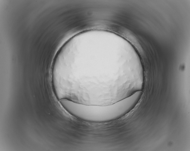 X0000097301436200803141523