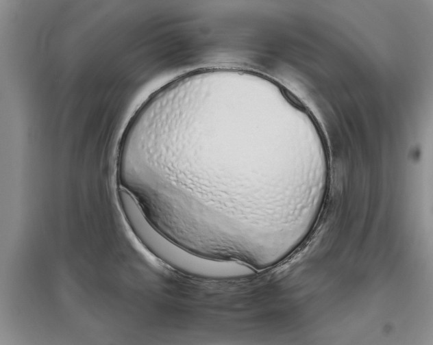 X0000097301437200803141523