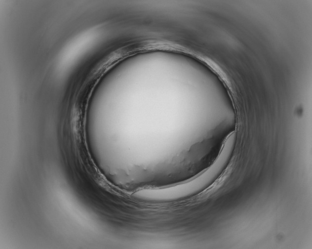 X0000097301438200803141523