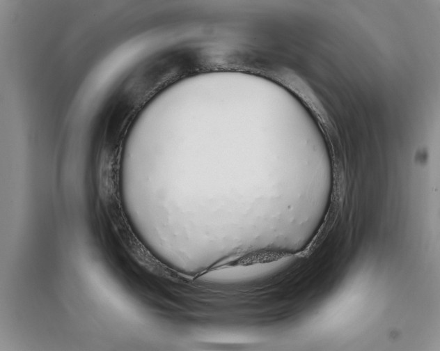 X0000097301439200803141523