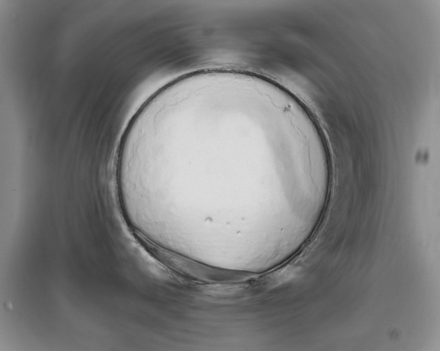 X0000097301440200803141523