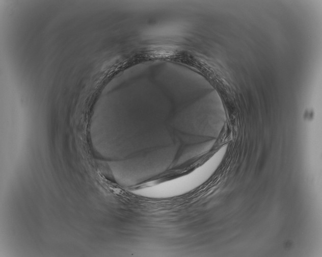 X0000097301441200803141522