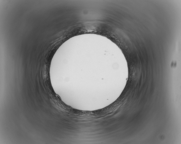 X0000097301442200803141522