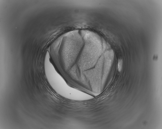 X0000097301444200803141522