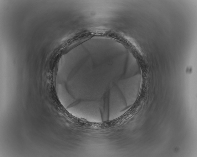 X0000097301445200803141522