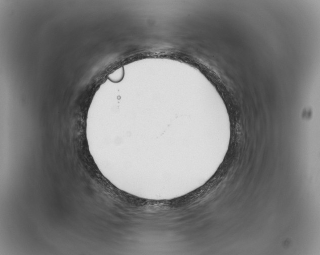 X0000097301447200803141522