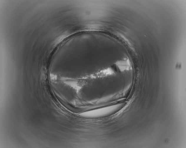 X0000097301449200803141522