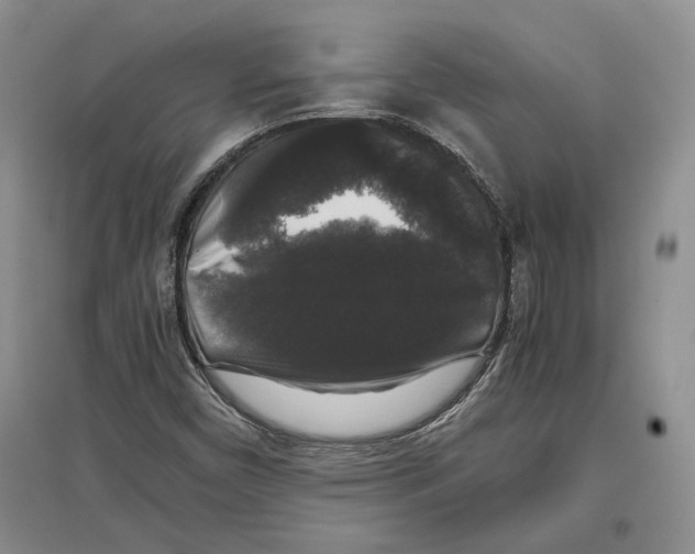 X0000097301450200803141522