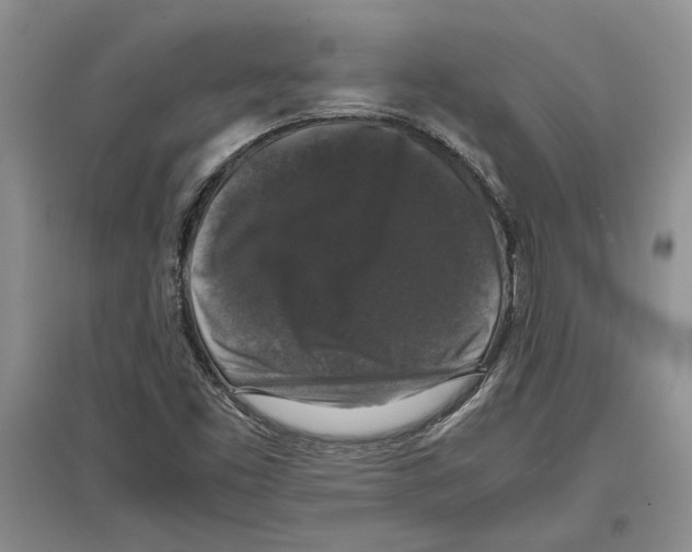 X0000097301453200803141522