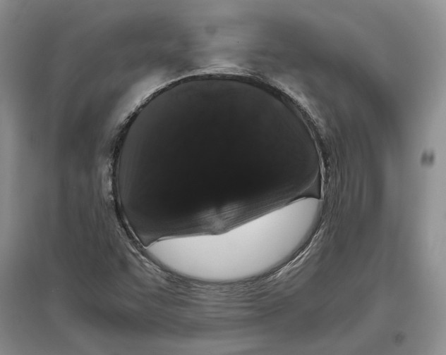 X0000097301455200803141522