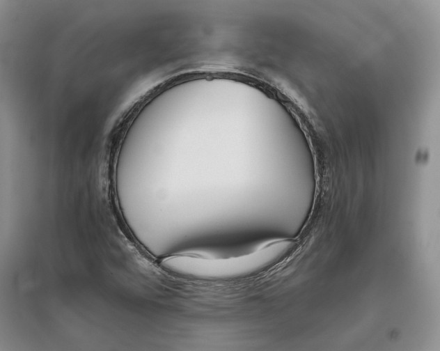 X0000097301456200803141522