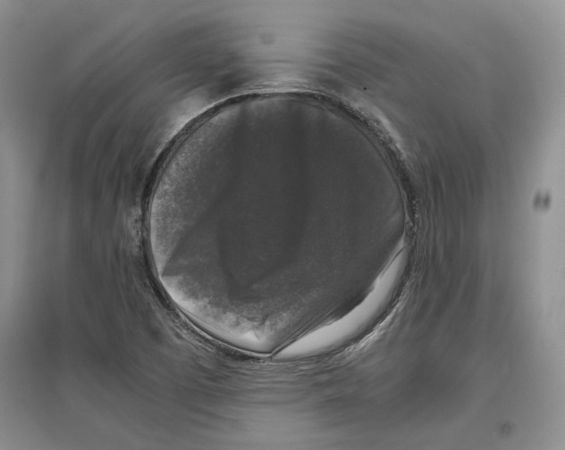 X0000097301457200803141522