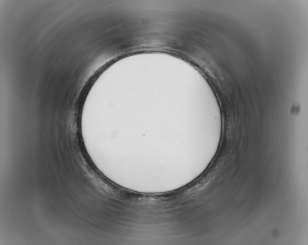 X0000097301458200803141522