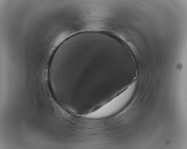 X0000097301459200803141522