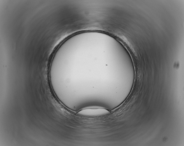 X0000097301460200803141522