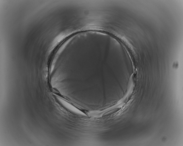 X0000097301461200803141522