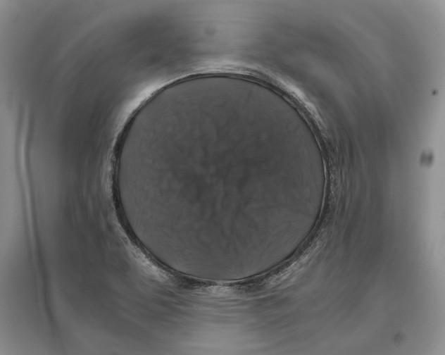 X0000097301463200803141522