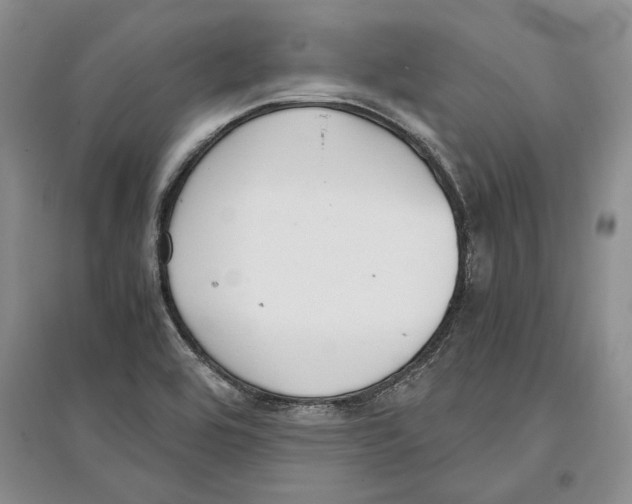 X0000097301464200803141522