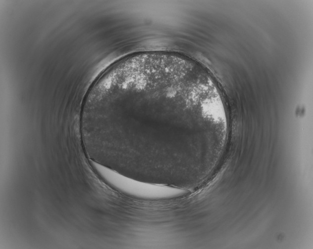 X0000097301465200803141522