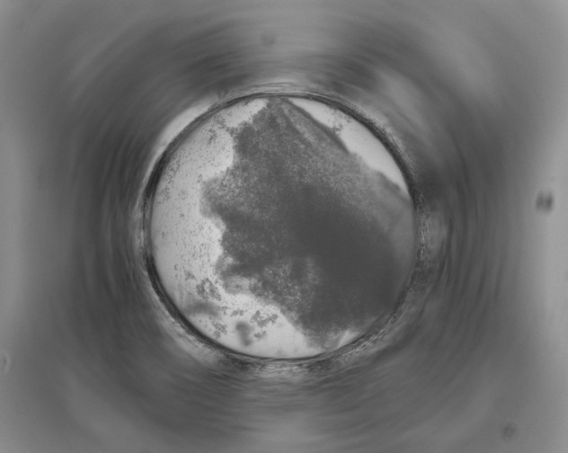 X0000097301466200803141522