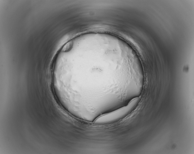 X0000097301467200803141522