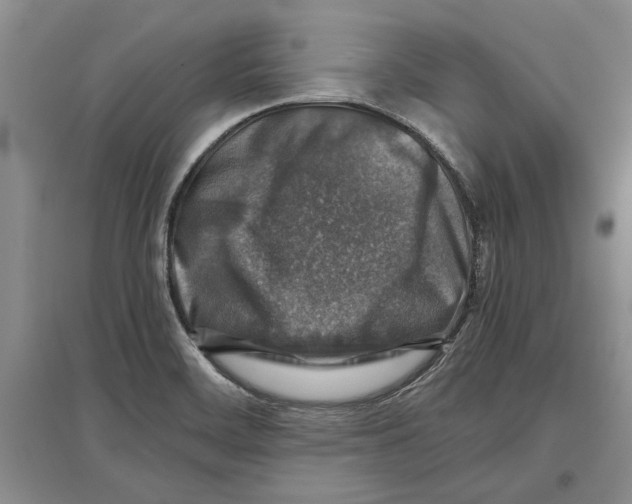 X0000097301468200803141522