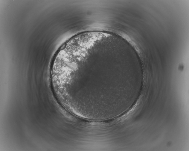 X0000097301469200803141522