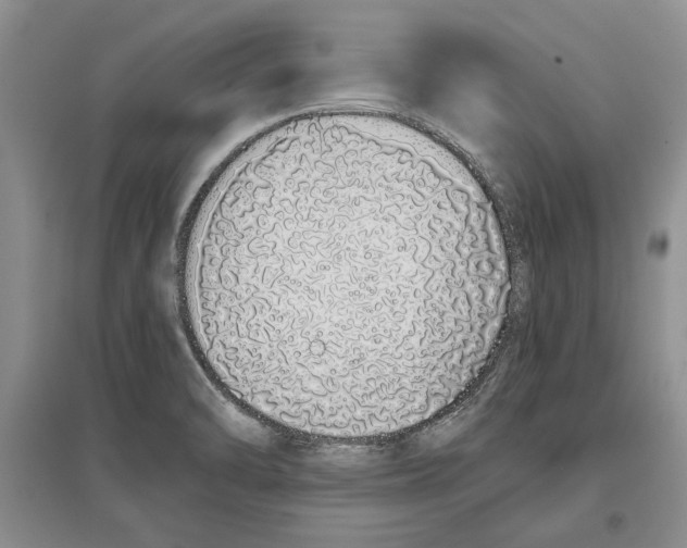 X0000097301470200803141522