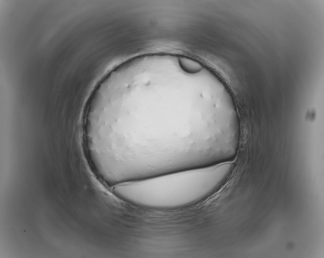 X0000097301471200803141522