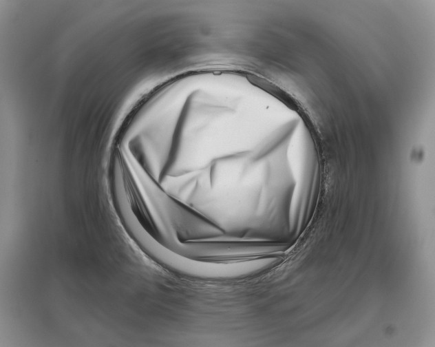 X0000097301472200803141521