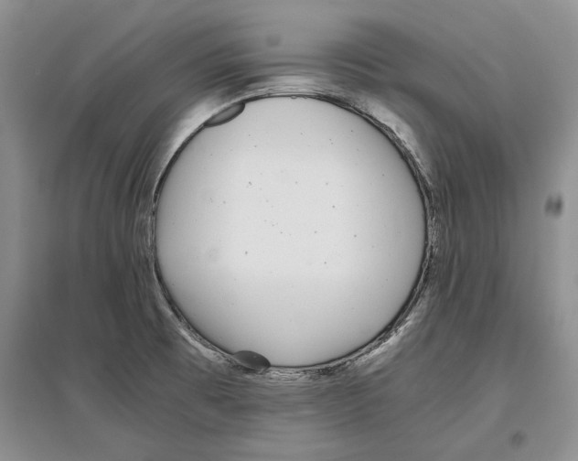 X0000097301473200803141521