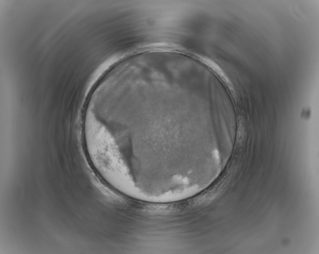 X0000097301474200803141521