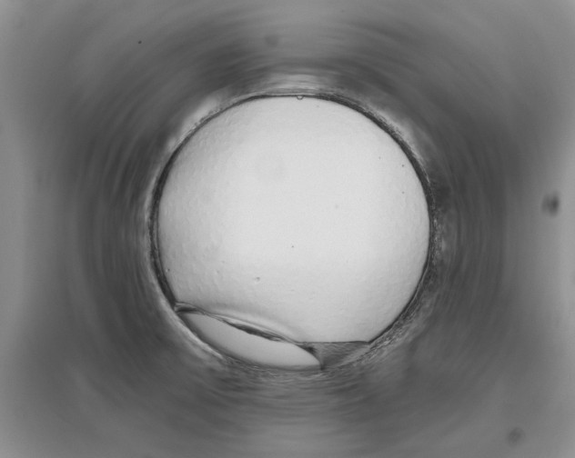 X0000097301475200803141521