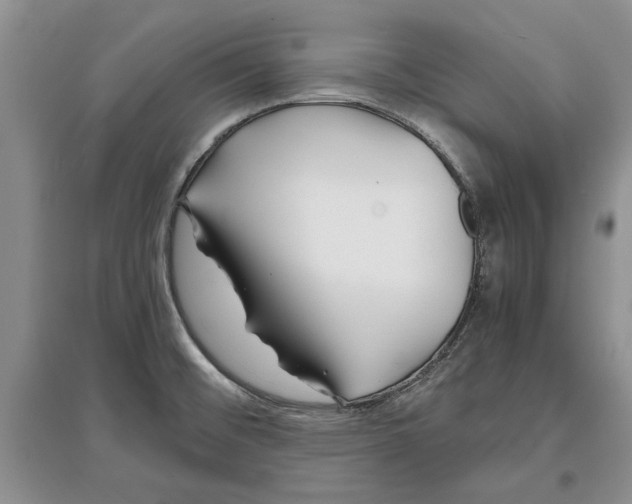 X0000097301476200803141521