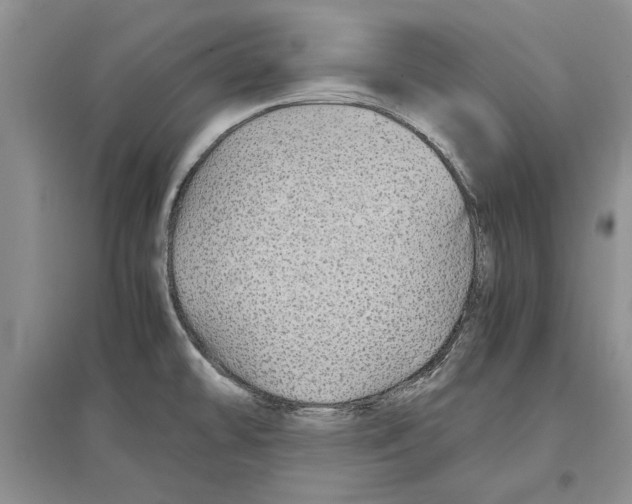 X0000097301478200803141521