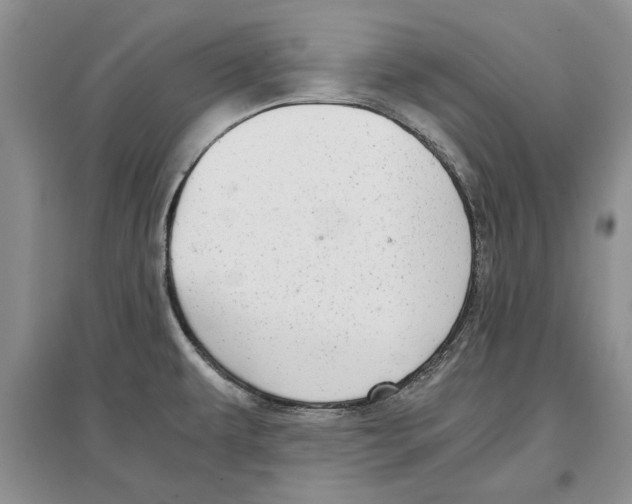 X0000097301479200803141521