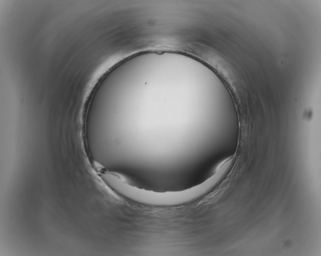 X0000097301480200803141521