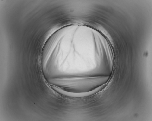 X0000097301481200803141521